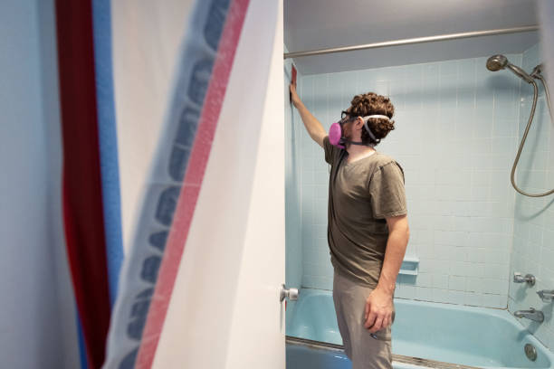 Best Air Quality Testing for Mold Spores  in Derby, CT