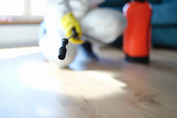 Best Emergency Mold Remediation  in Derby, CT