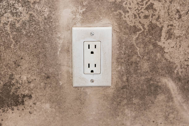 Best Post-Construction Mold Inspection  in Derby, CT